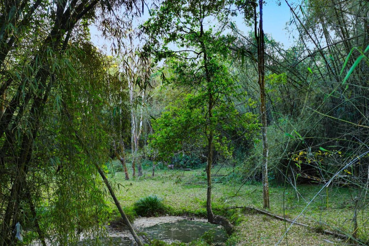Keys Prima By Lemon Tree Hotels, Thekkady Esterno foto